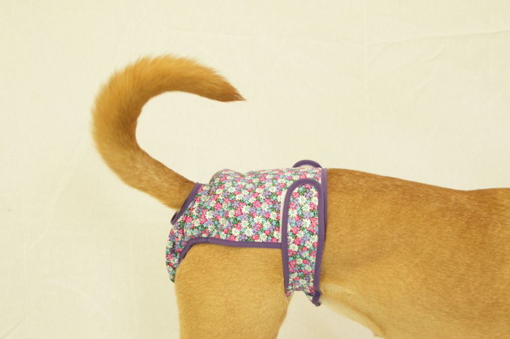 Picture of Seasonals 41120PRP Washable Female Dog Diaper, Purple - Fits Squatty Body