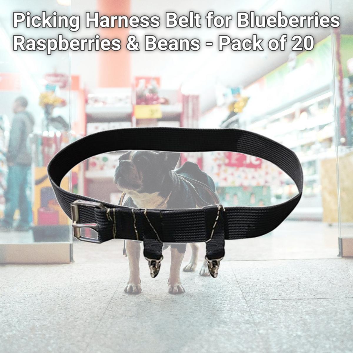 Picture of Zenport Industries AG423-20PK Picking Harness Belt for Blueberries&#44; Raspberries & Beans - Pack of 20