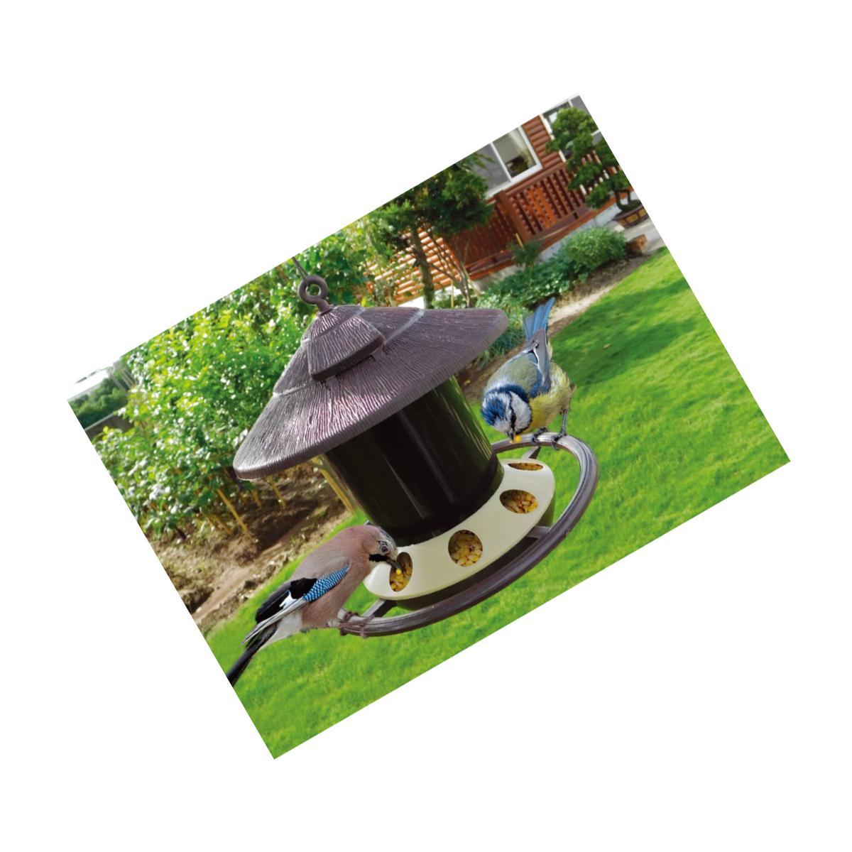 Picture of Zenport Industries D450-4PK Bird & Squirrel Feeder - Pack of 4