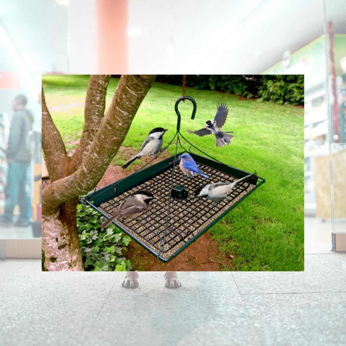 Picture of Zenport Z203009 3 in 1 Platform Bird Seed Feeder