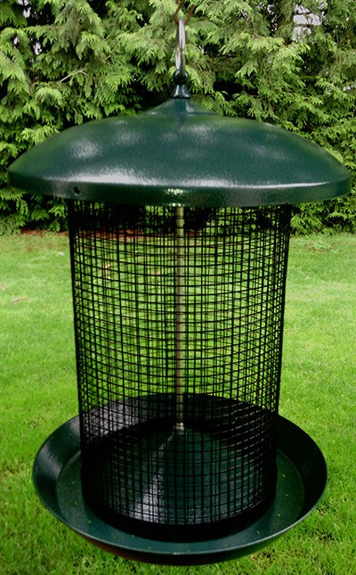 Picture of Zenport Industries Z203010-6PK Sunflower Seed Screen Feeder - Pack of 6