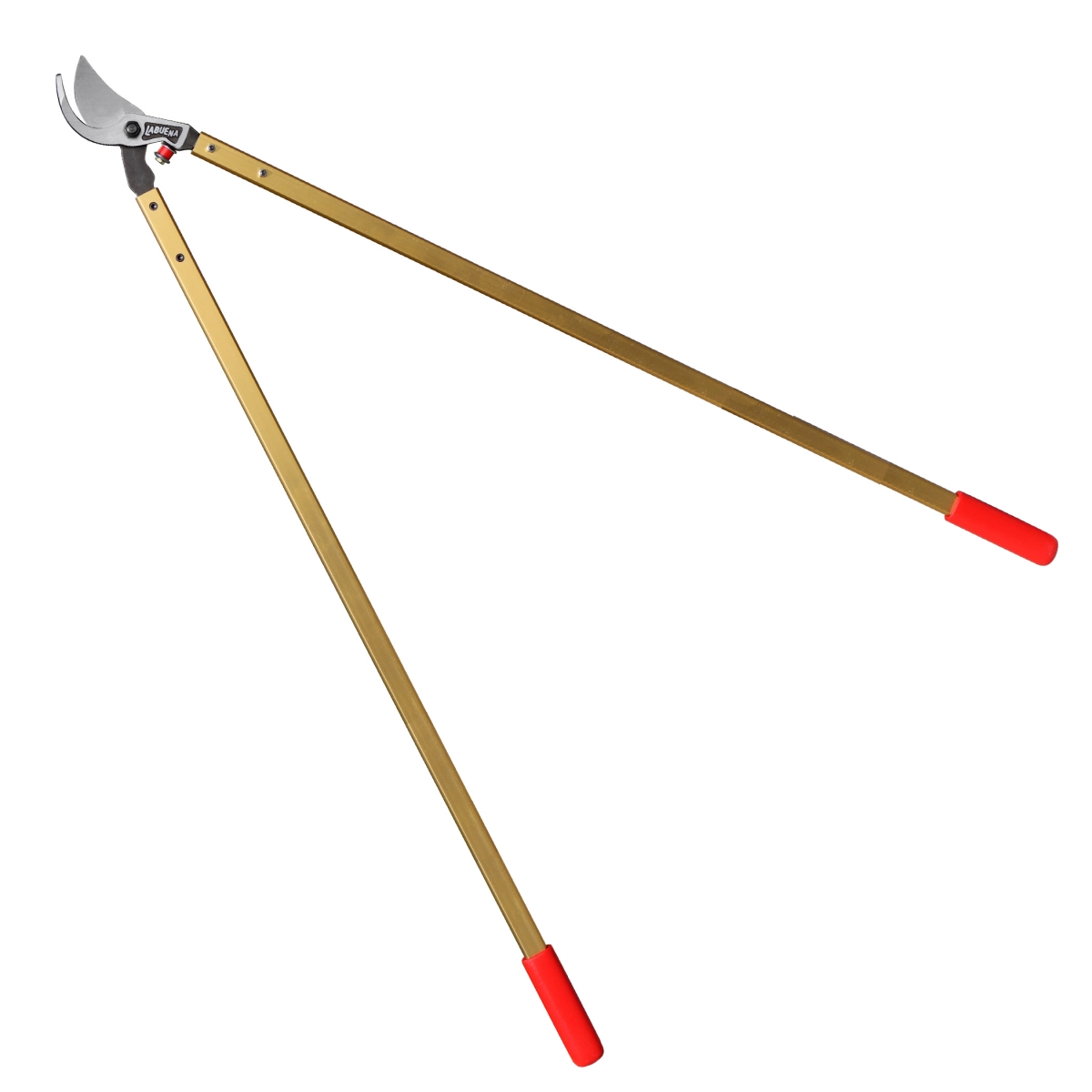 Professional Bypass Lopper, 40-Inch Handles, 2.5-Inch Cuts