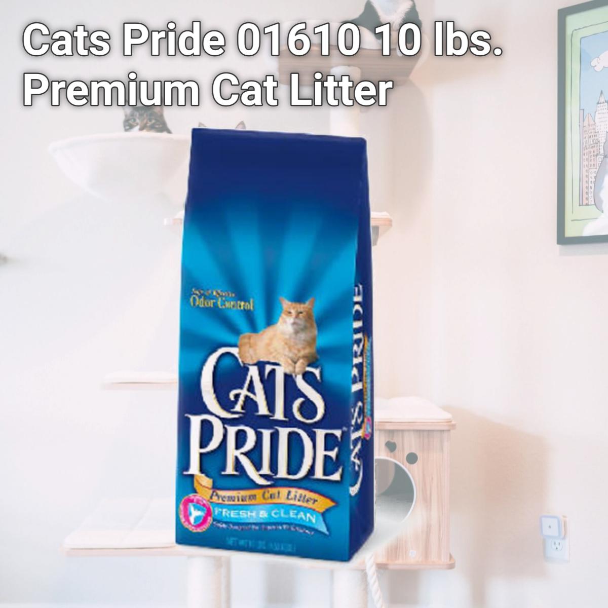 Picture of Cats Pride 01610 10 lbs. Premium Cat Litter