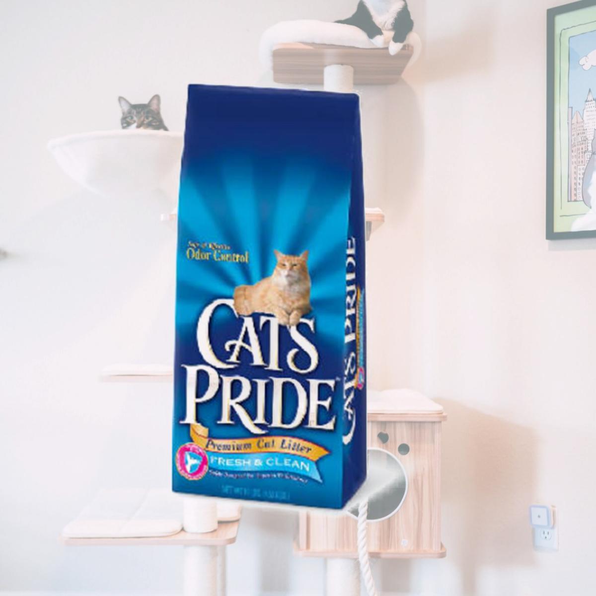 Picture of Cats Pride 01610 10 lbs. Premium Cat Litter