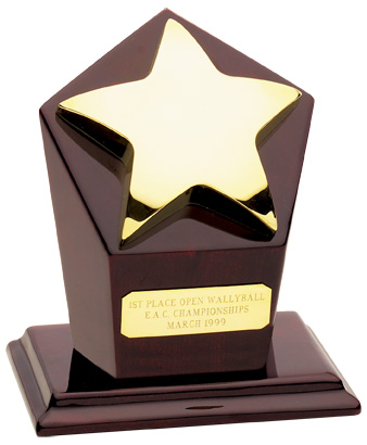 Gold Star 3rd Place Award -  Juki Furniture, JU3375011