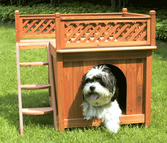 Picture of Merry Products MPS002 Dog House - Room with a View