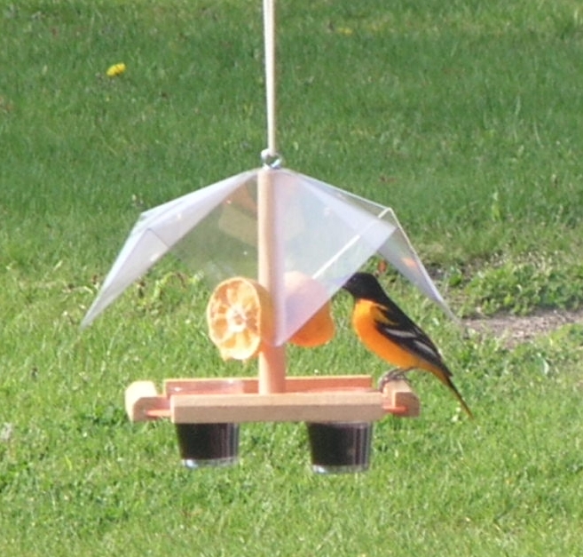 Picture of Looker Oriole Buffet 12&quot; x 3-1/2&quot; x 11&quot; Bird Feeder