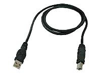 Picture of Belkin Components Usb A/B Cable 20/28 Awg F3U133B06