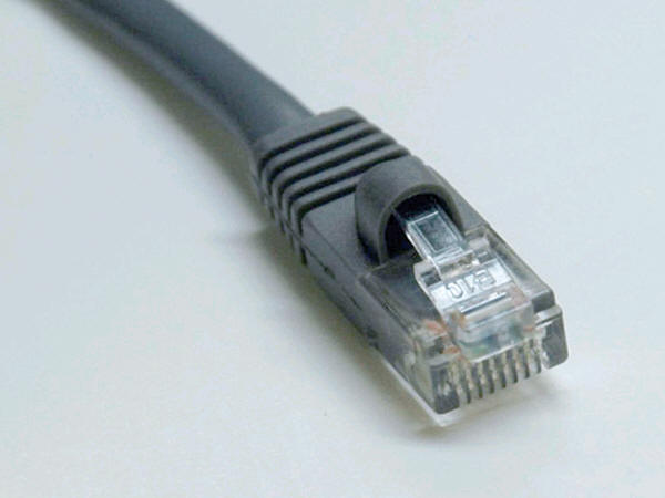 Picture of TRIPP LITE 50FT CAT5e 350MHz MOLDED GRAY OUTDOOR RA N007-050-GY