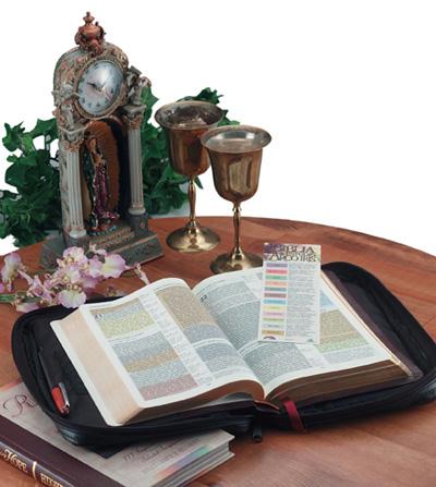 Picture of Embassy Italian Stone Design Genuine Leather Bible Cover