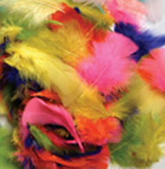 Picture of Chenille Kraft Company Ck-450001 Feathers Bright Hues