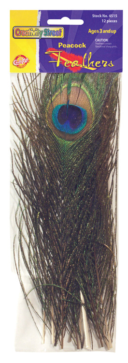 Picture of Chenille Kraft Company Ck-4515 Peacock Feathers