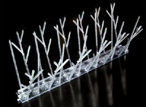 Bird-X SP-10 10 FT Standard Width Plastic Bird Spikes