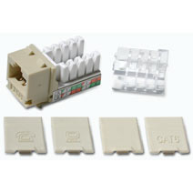 Picture of Cables To Go 29310 CAT 6 KEYSTONE JACK IVORY
