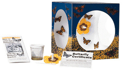 Picture of Insect Lore Ilp1010 Butterfly Garden