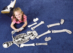 Picture of Learning Resources Ler3332 Skeleton Floor Puzzle