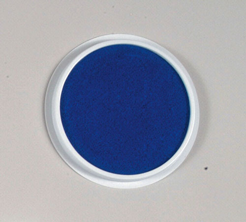 Picture of Center Enterprises Ce-6604 Jumbo Circular Washable Pads Blue-Single