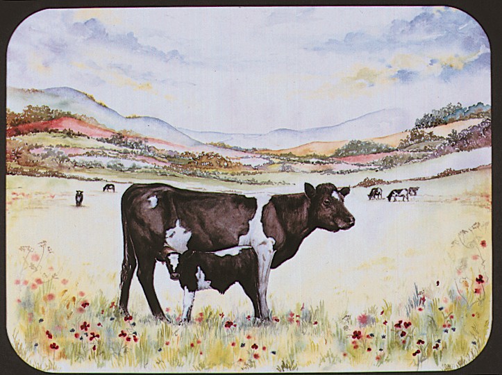 Cow & Calf - Medium (12   x16   )