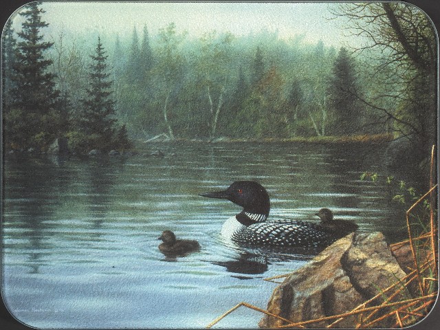 Loons in the Mist Medium 12x16 Cutting Board