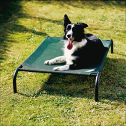 Picture of Coolaroo 799870317270 3ft x 2ft Medium Steel Framed Pet Bed - Brunswick Green Cover