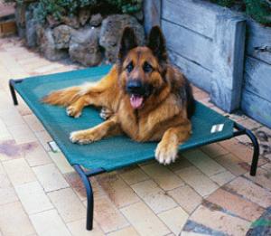 Picture of Coolaroo 799870317287 3 feet 6 inch x 2feet  6inch  Large Steel Framed Pet Bed - Brunswick Green Cover