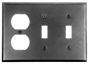 Picture of Acorn AW7BP 0322 Duplex Wall Plate 2-Toggle
