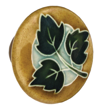 Acorn