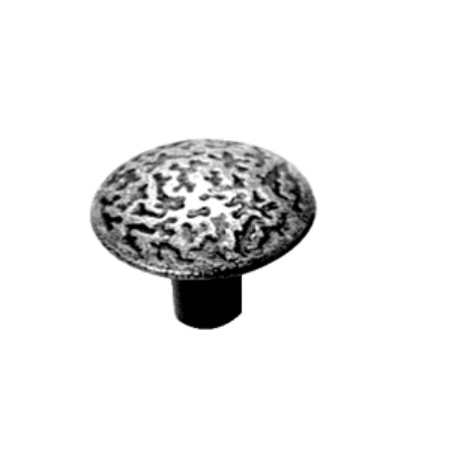 Acorn