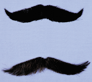 Picture of Costumes For All Occasions CB35BK Mustache English Style Blk