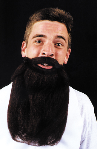 Picture of Costumes For All Occasions CB45BK Mustache Beard Black 14In