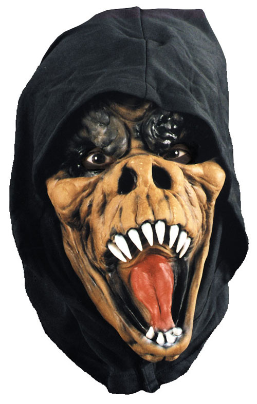 Picture of Costumes For All Occasions 90305 Gator