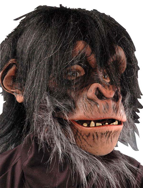 Picture of Costumes For All Occasions 6001BS Chimp Mask