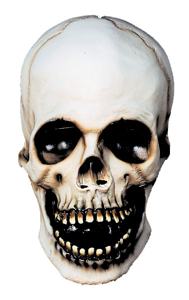 Picture of Costumes For All Occasions DU350 Skull