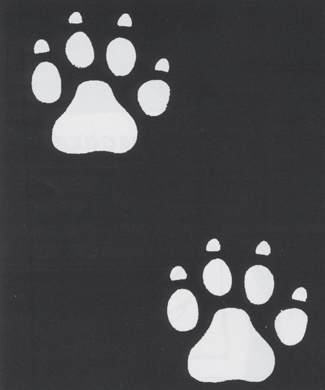 Picture of Costumes For All Occasions FP277 Stencil Paw 4 No Claw Plast