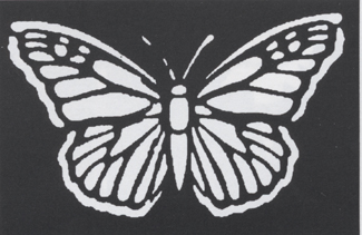 Picture of Costumes For All Occasions FP59 Stencil Butterfly Brass