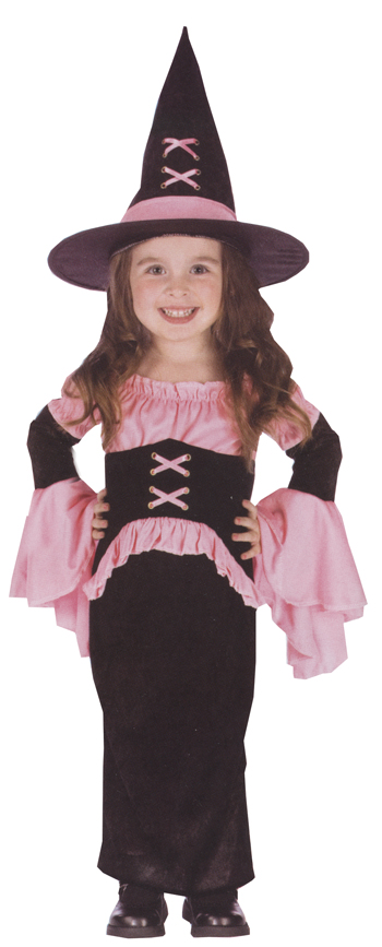 Picture of Costumes For All Occasions FW112761TS Witch Pretty Pink Toddler sm