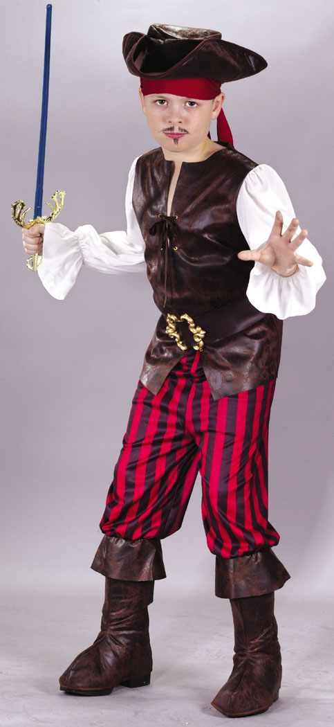 Picture of Costumes For All Occasions FW5890LG High Seas Buccaneer Chd Lrg