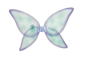 Picture of Costumes For All Occasions FW8111FPR Wings Child Fairy Blue Green
