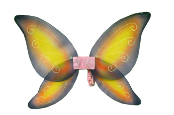 Picture of Costumes For All Occasions FW8111FYW Wings Child Fairy Pink Yellow