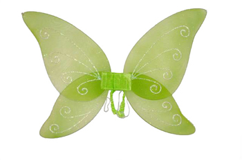 Picture of Costumes For All Occasions FW8111GTB Wings Child Tinkrbell Green