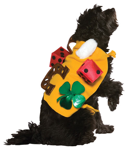 Picture of Costumes For All Occasions GC5002 Lucky Dog Costume