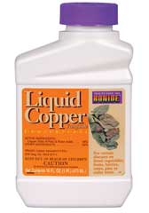 Picture of Bonide Products Liquid Copper Fungicide 1 Pint - 811