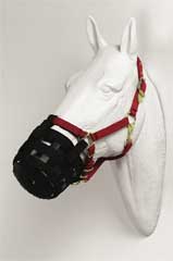 Picture of Best Friend Equine Pony Grazing Muzzle Black - BF09S