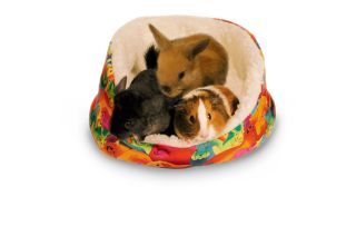 Picture of Pets International Critter Cuddle-e-cup 12x10x5.5 Inch - 100079510