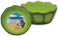 Picture of Pets International Bowl Vege-t Cabbage Green - 100079897