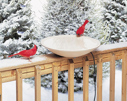 Picture of Allied Precision 20 Inch Heated Bird Bath with Hardware