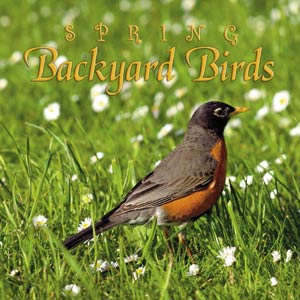 Picture of Naturescapes Music Spring Backyard Birds CD