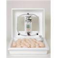 Miller Circulated Air Incubator W Fan White 17 Inch - 10200 Miller Circulated Air Incubator W Fan White 17 Inch - 10200
