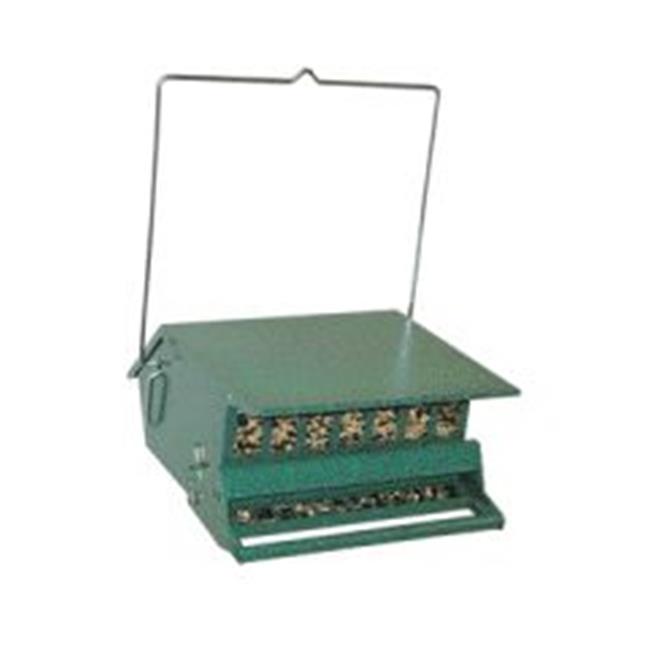 Bird S Choice Ardilla Prueba F Verde - 7511 - Imagen 1 de 1