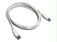 Picture of CABLES TO GO 13172 6.5&apos; USB 2.0 A Male to B Male Cable - White